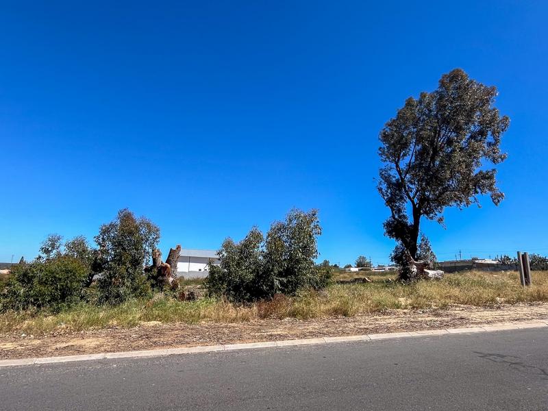 0 Bedroom Property for Sale in Hopefield Western Cape